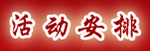活动安排